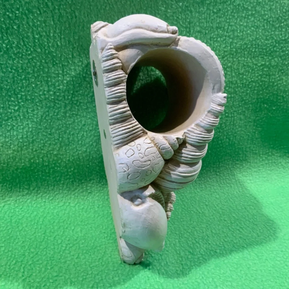 Wall Drapery Resin Brackets Beach Seashells (4)
